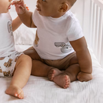 7fddd04684b31239ddb91f41805515ce