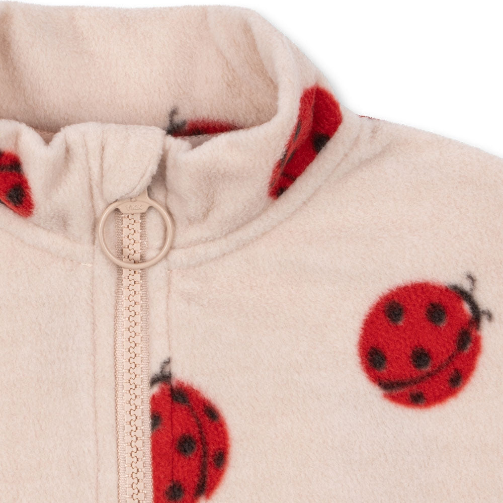 713f6df969502bd0f58ea331e5d0ab12