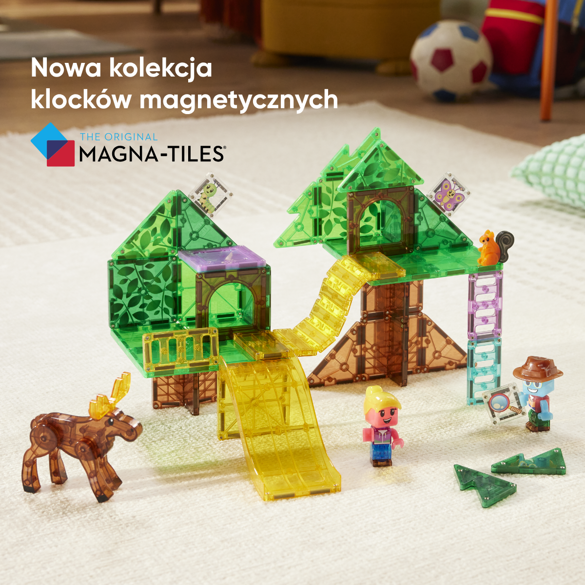 Obrázek snímku