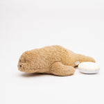 30931b51a3c1429dffe19832f3fe9737