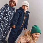 Obrázek snímku