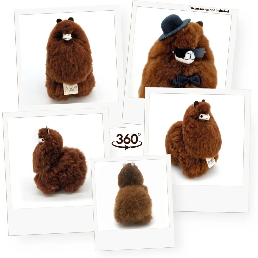 597a329e00c4c3d542d1d13379ede9f1