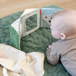 6b43c49d4d44056d0321aa712e72f116