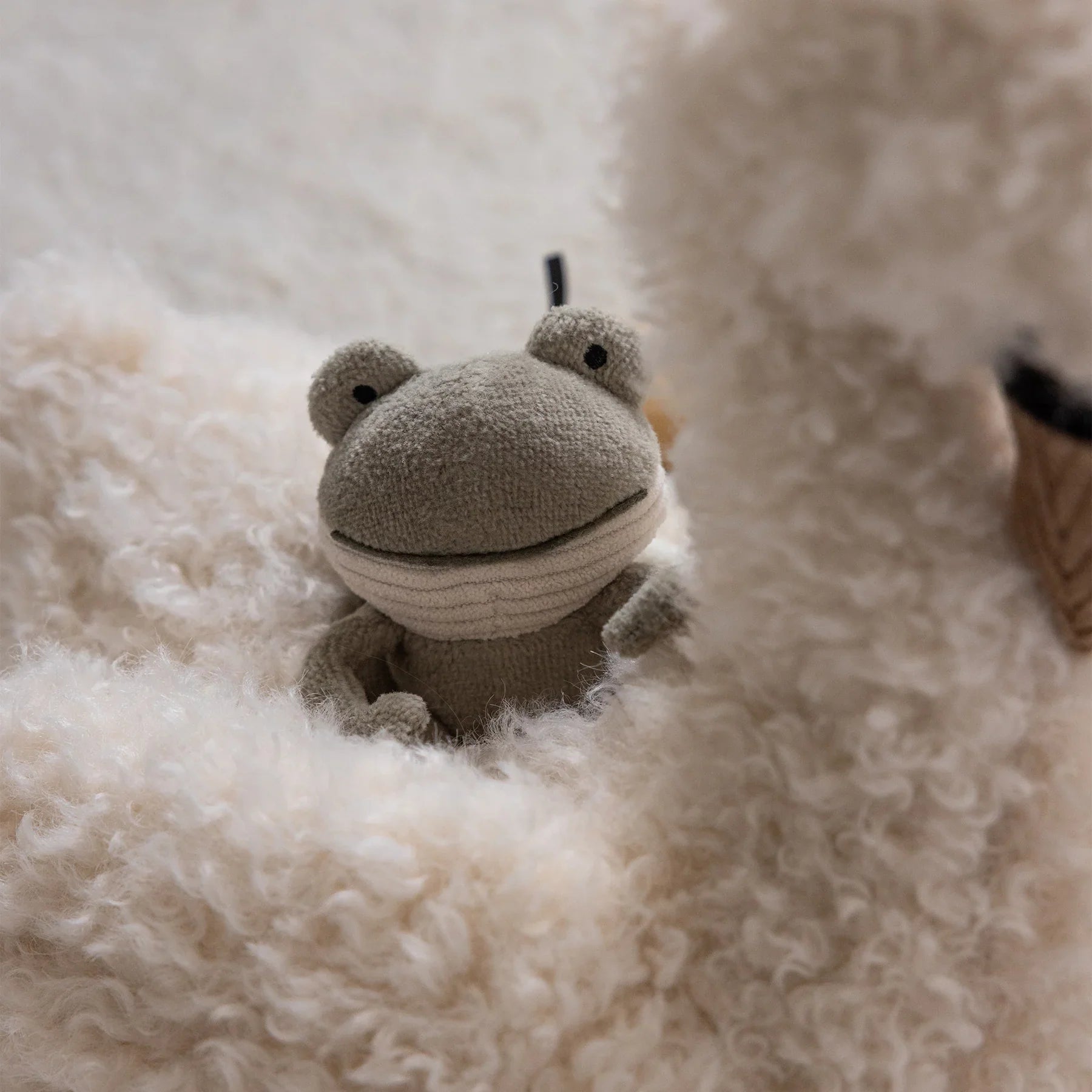 6bd0f346437b5785d7acc4fc8455c55a