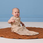 Obrázek snímku