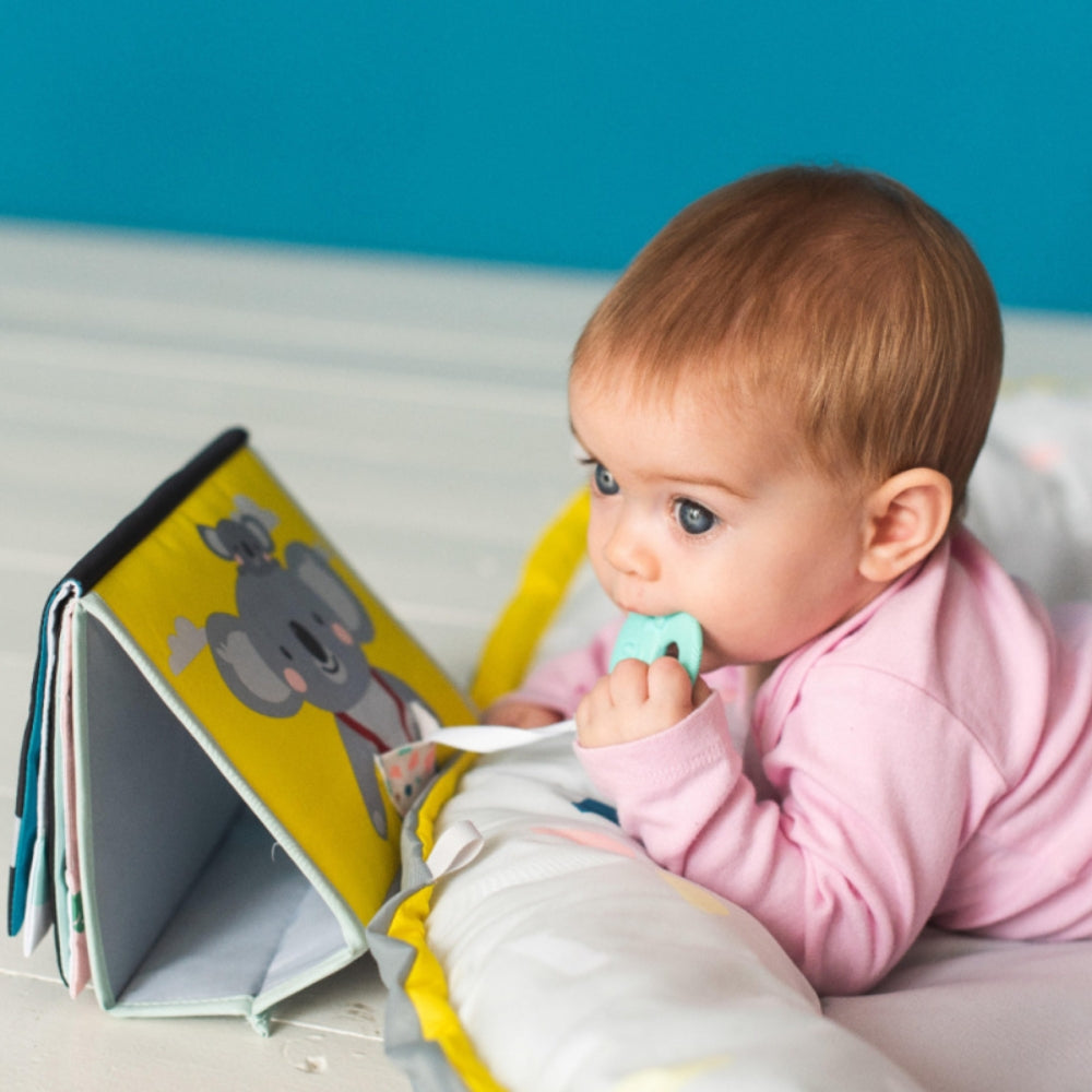 b216a34d08e53e35cee987d73f8387b6