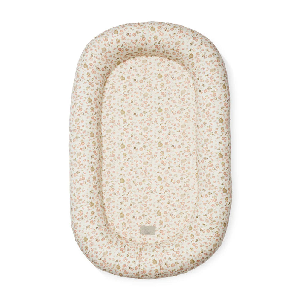 Obrázek snímku