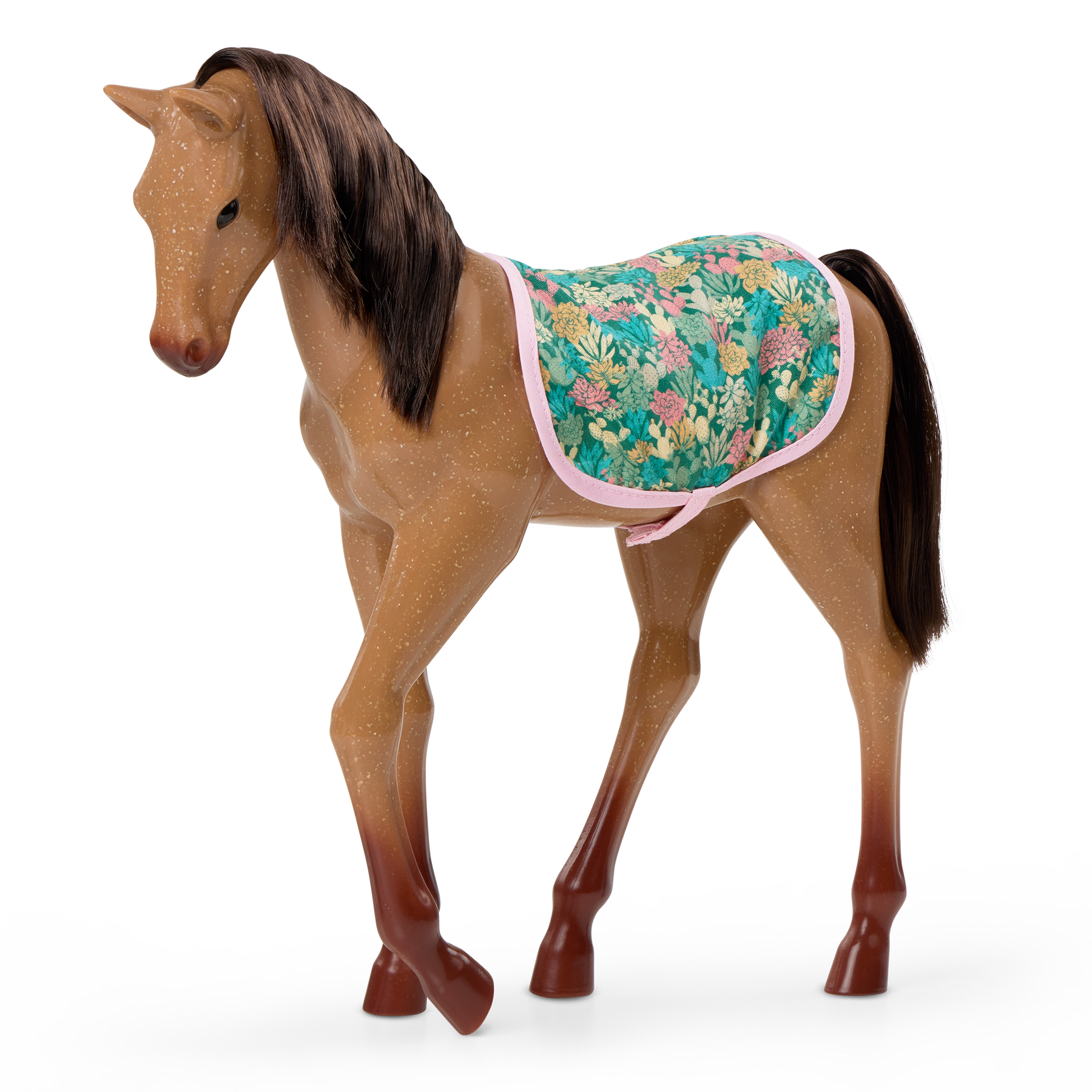 Obrázek snímku