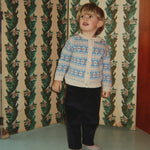 Obrázek snímku