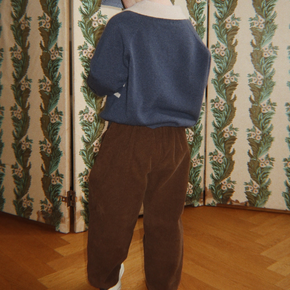 Obrázek snímku