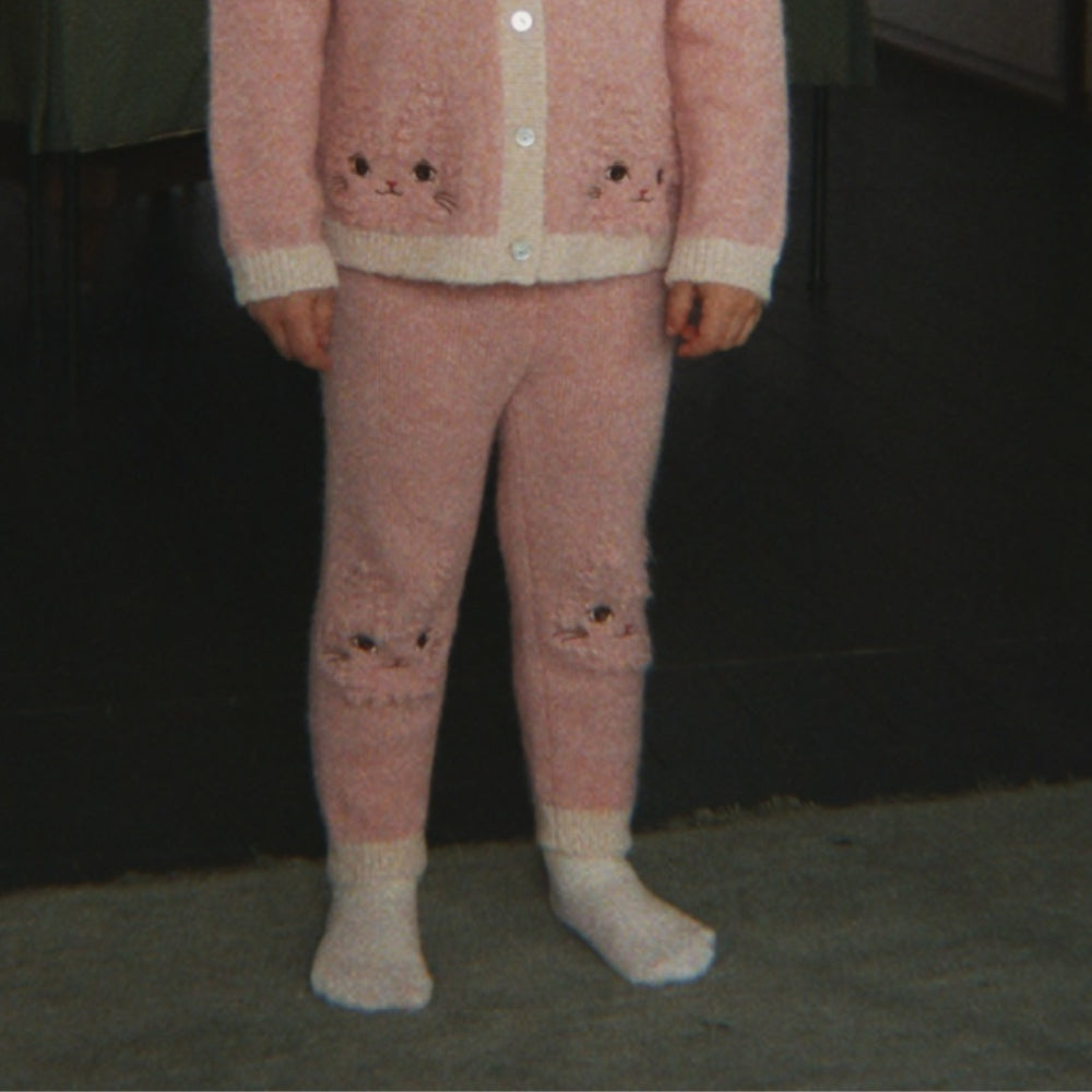 Obrázek snímku