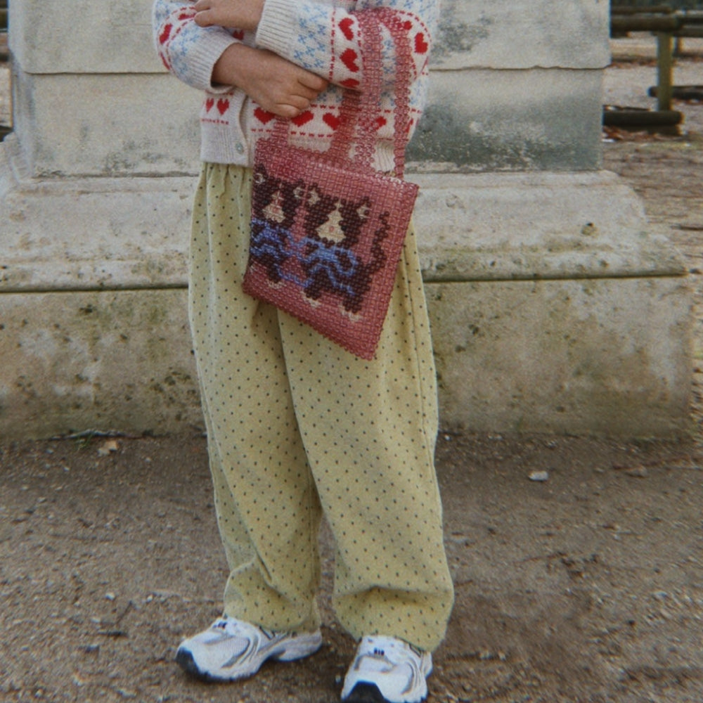 Obrázek snímku