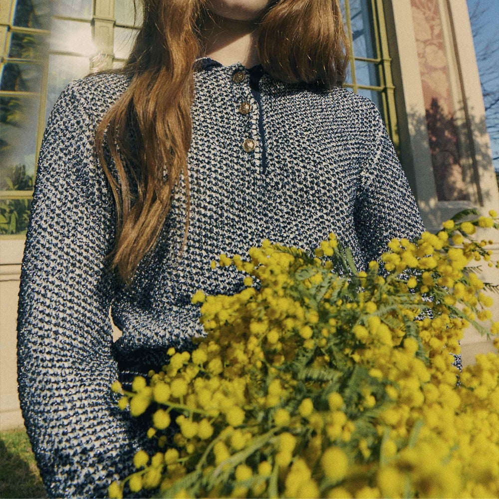 Obrázek snímku