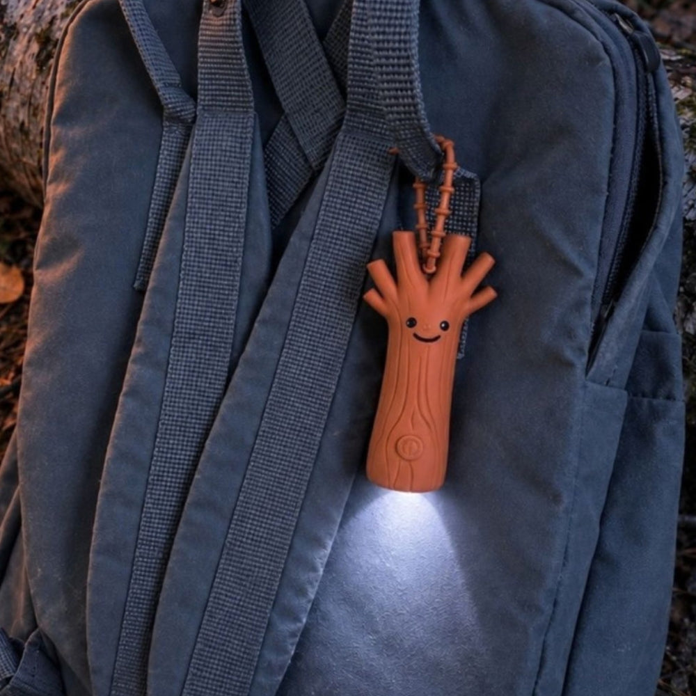 Obrázek snímku