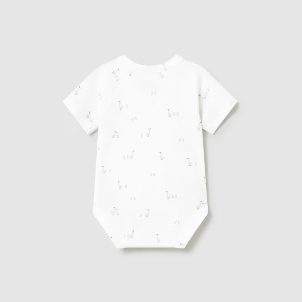 50a41429952ef7eed6ee2ce408dcf6ab