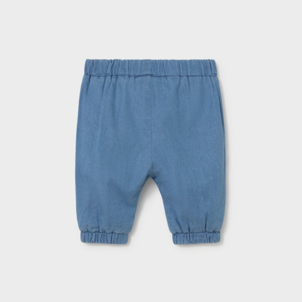 Obrázek snímku