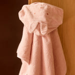 Obrázek snímku