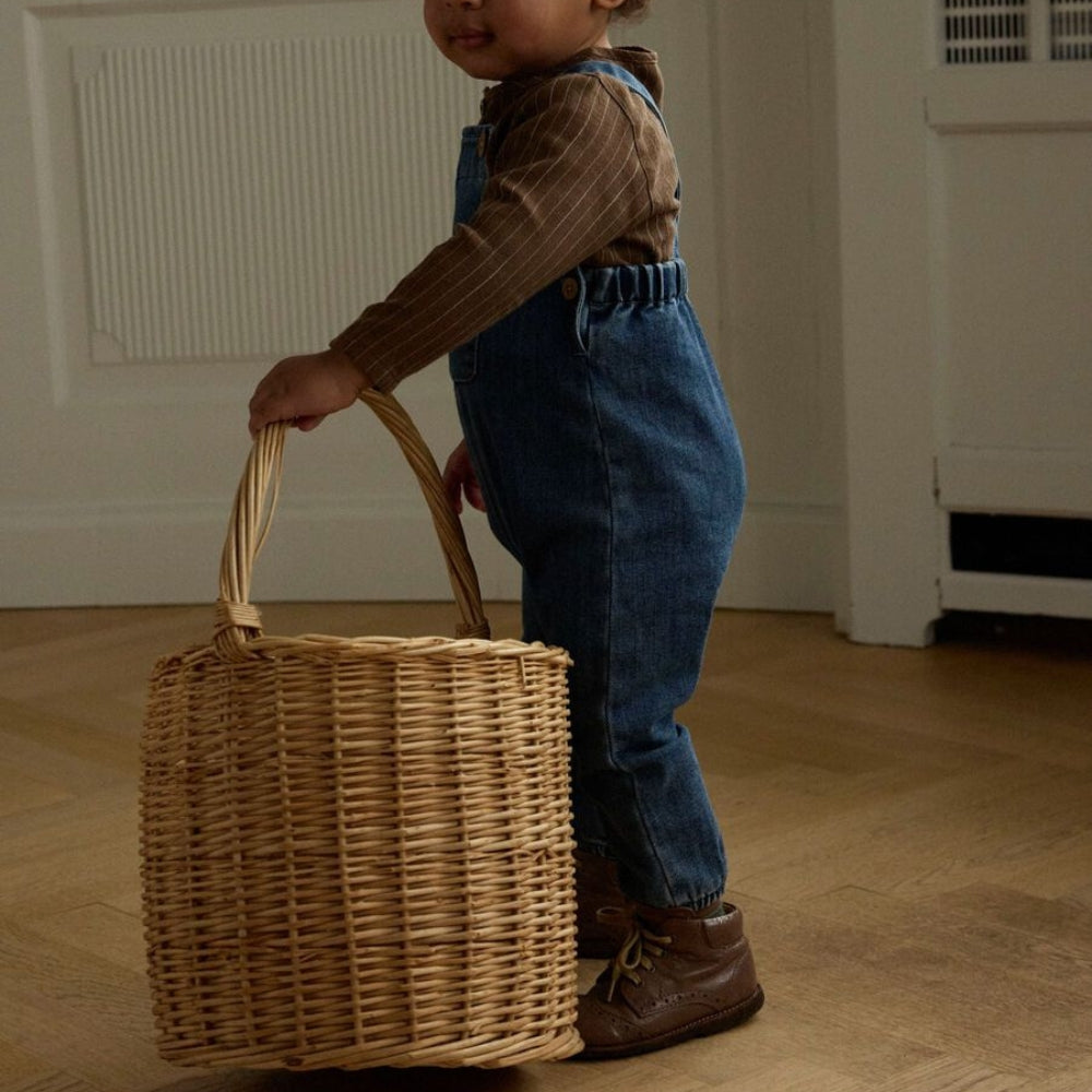 Obrázek snímku