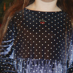 Obrázek snímku