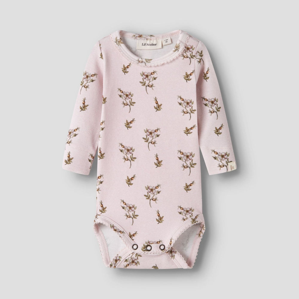 Obrázek snímku