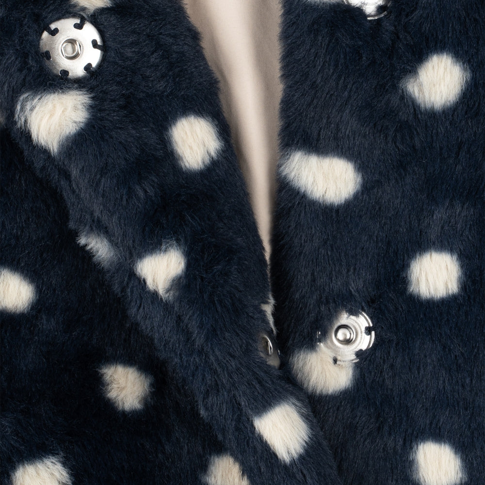 Obrázek snímku