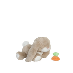 Obrázek snímku
