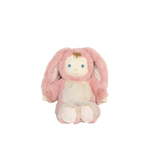 Obrázek snímku