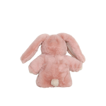Obrázek snímku
