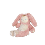 Obrázek snímku