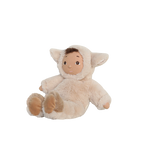 Obrázek snímku