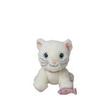 Obrázek snímku