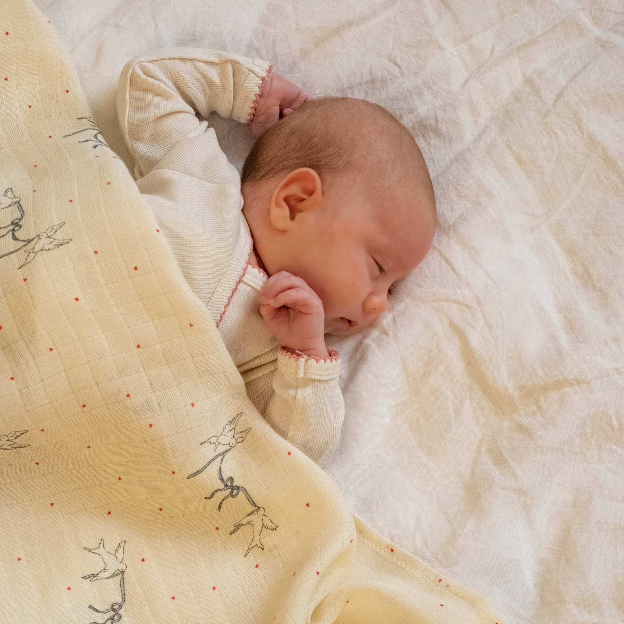 cfe1cb0ed4e0f1c2c93ccb40c77324e0