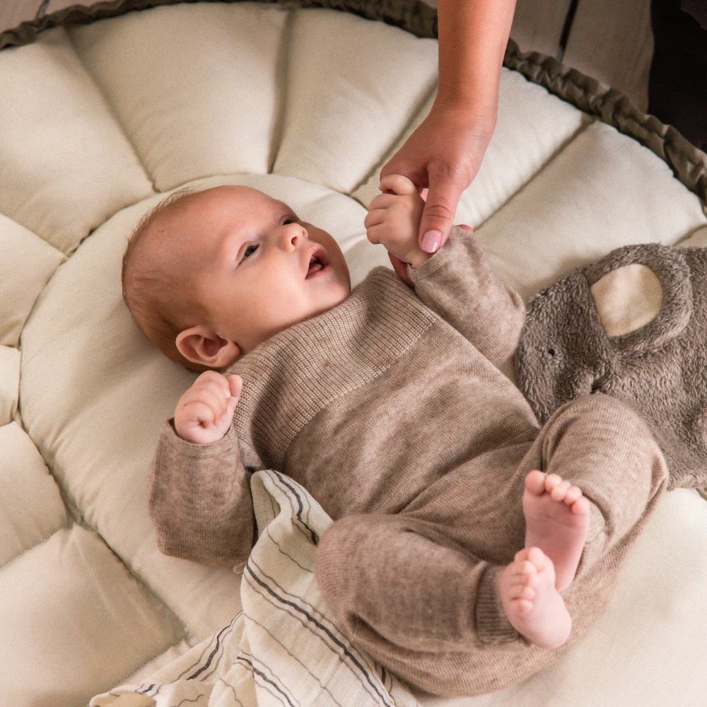 f43c406111b26915948a0361a9219f2f