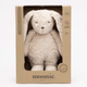 Moonie Rabbit Sensory Sand