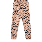 Obrázek snímku