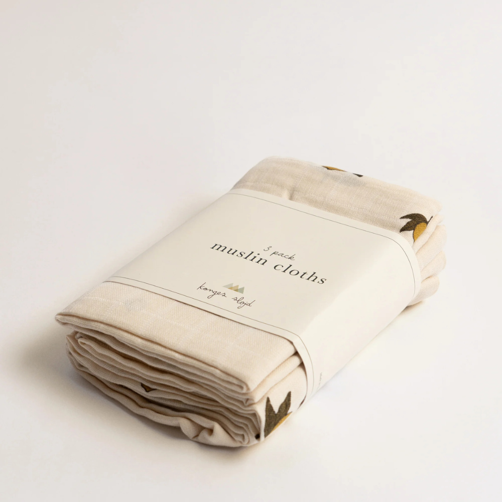 Obrázek snímku