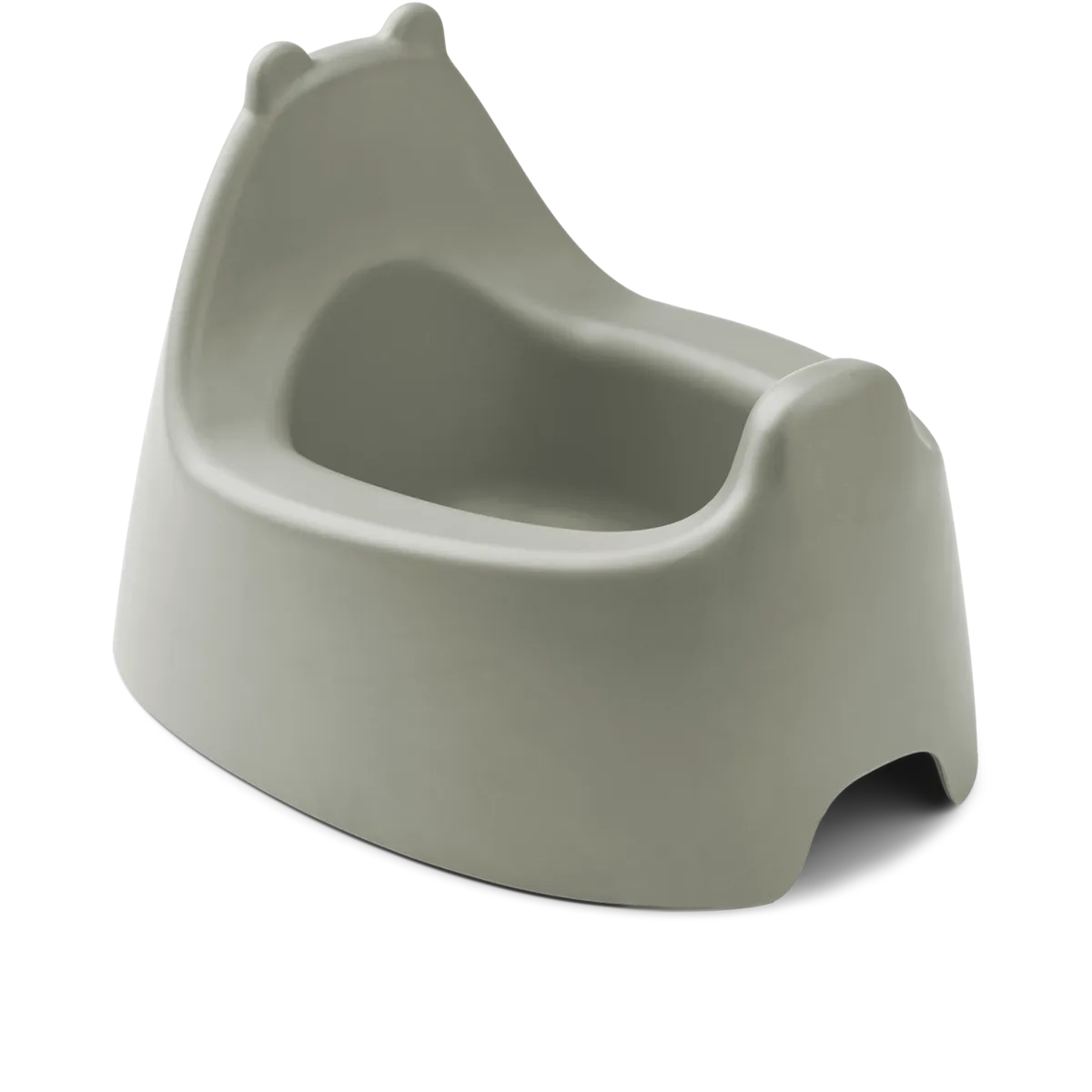 Obrázek snímku