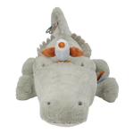 Obrázek snímku