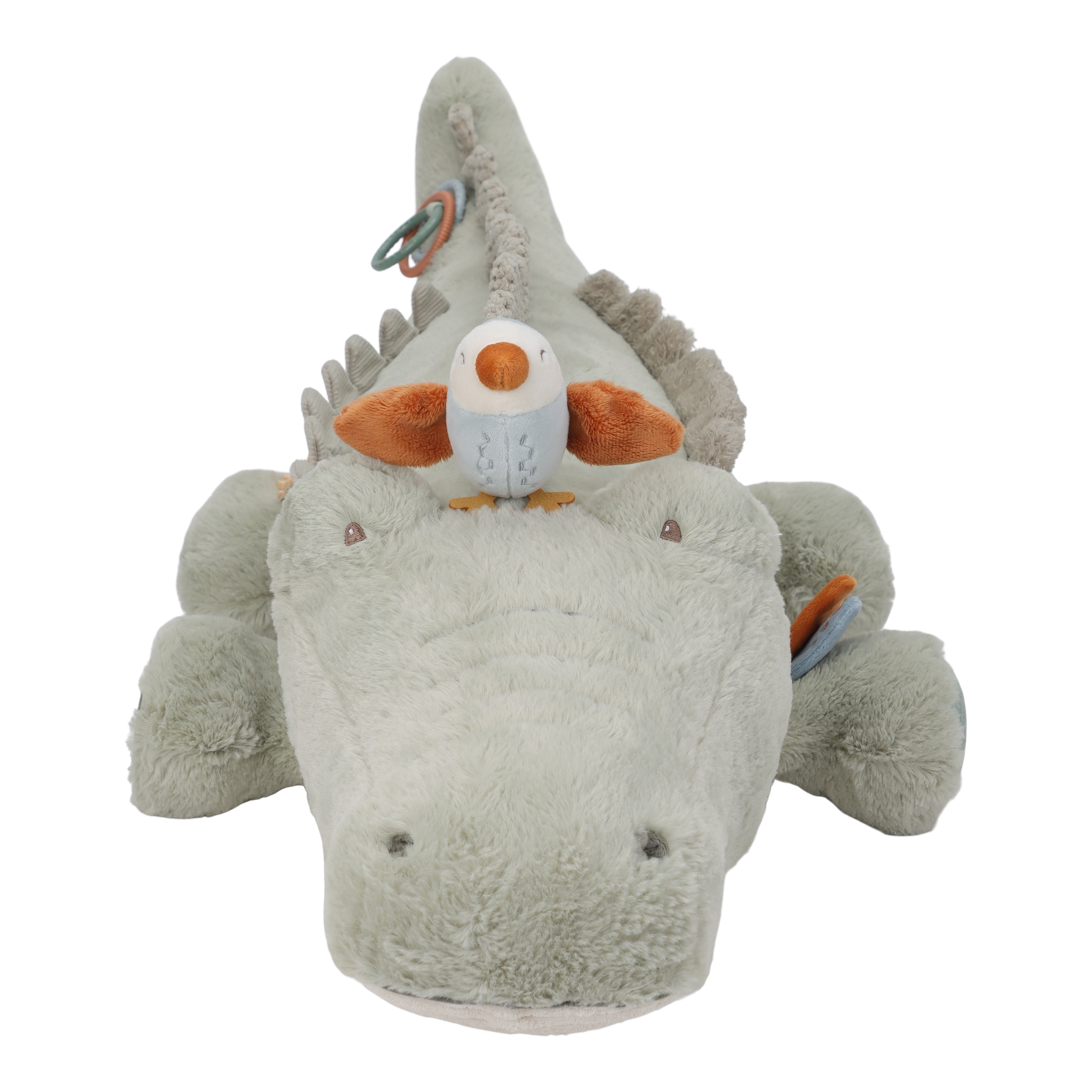Obrázek snímku