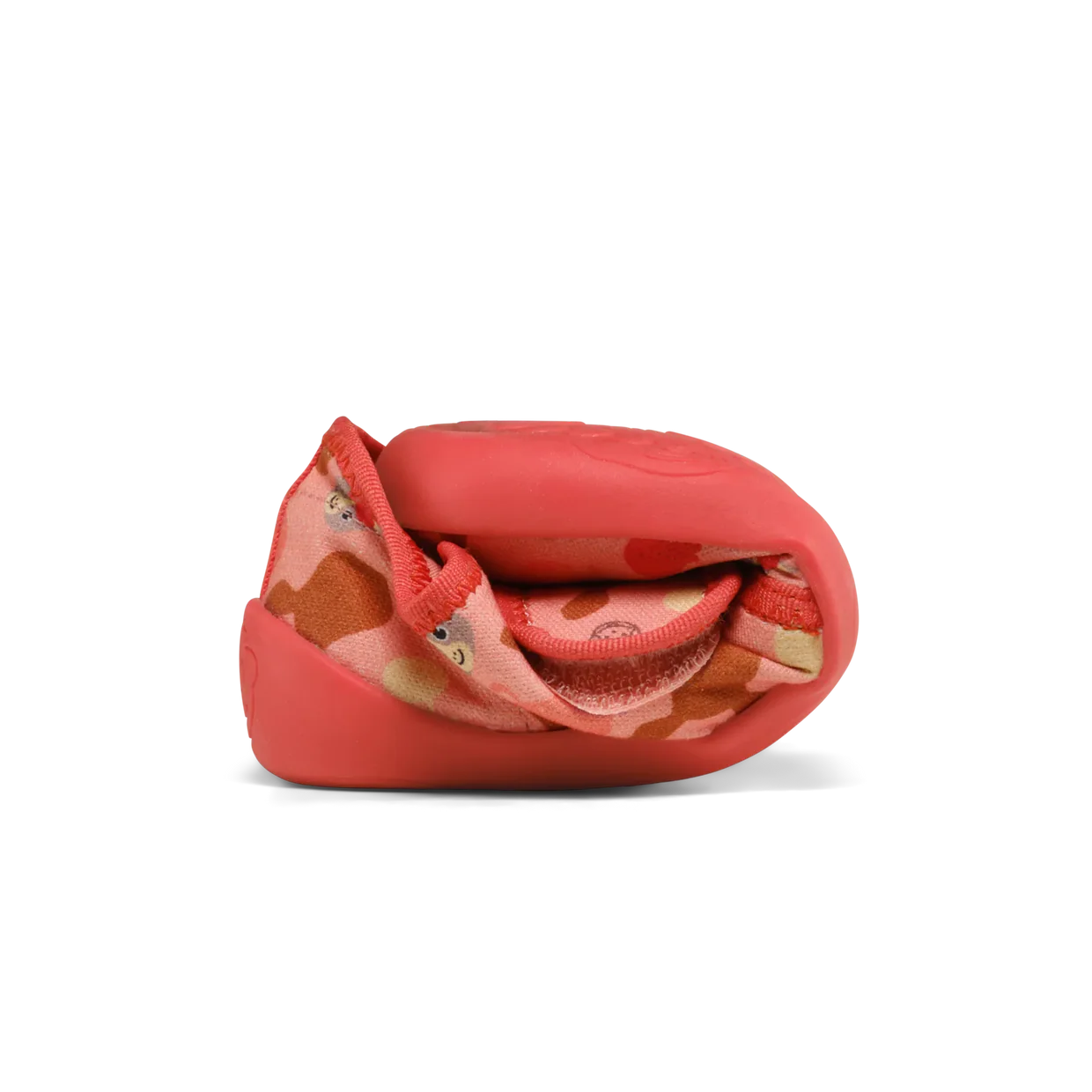 Obrázek snímku