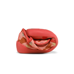 Obrázek snímku