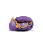 Obrázek snímku