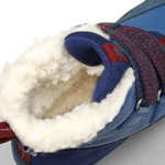 Obrázek snímku