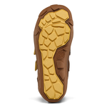 Obrázek snímku