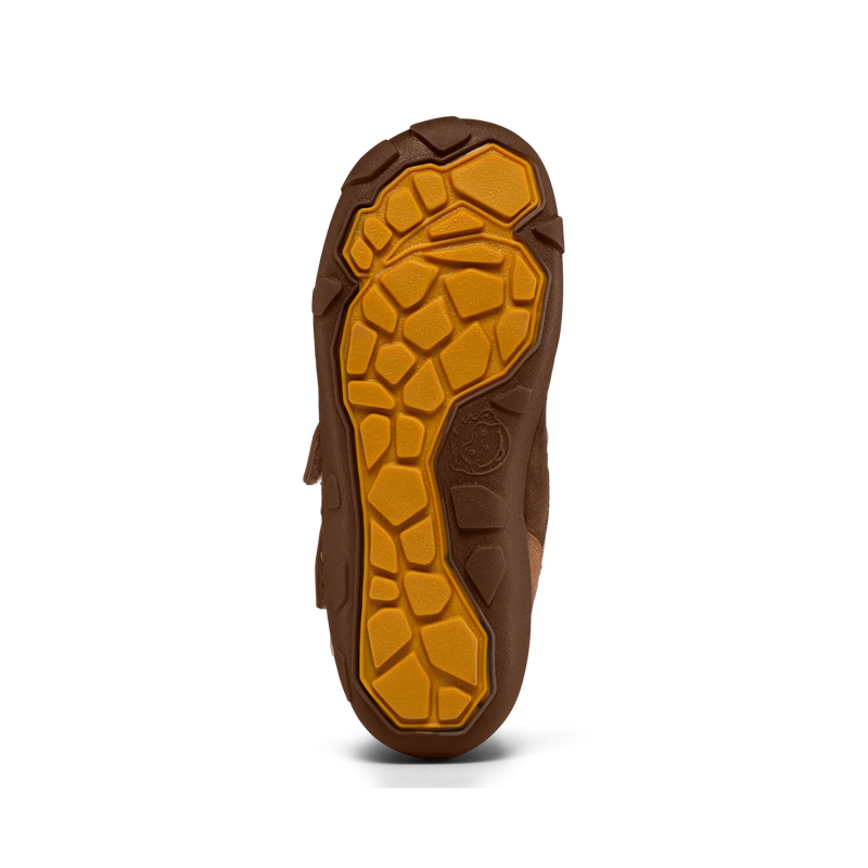 Obrázek snímku