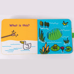 Obrázek snímku