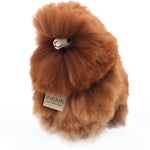 Obrázek snímku