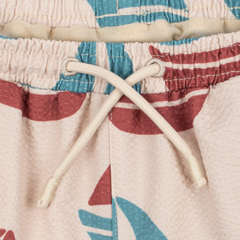 Obrázek snímku