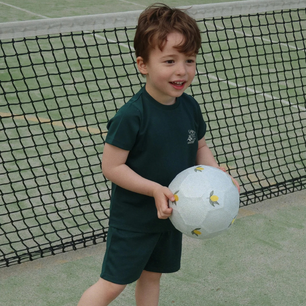 Obrázek snímku