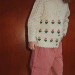 Obrázek snímku